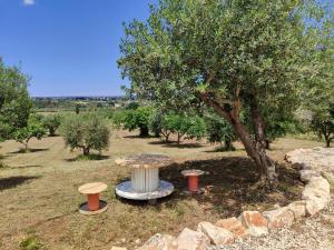 Vonkajšia záhrada v ubytovaní il borghetto in valle d'itria