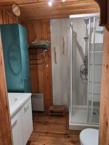 ein Bad mit einer Dusche und einem Waschbecken in der Unterkunft SOCOA LE CABANON in Lacanau