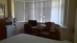 Prostor za sedenje u objektu London luxury en-suite double room, private door, park free, tram, tube!