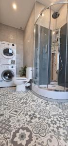 y baño con ducha, aseo y lavadora. en Au pied de Sancerre logement Cosy, en Saint-Satur