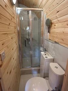 a bathroom with a white toilet and a shower at Foundry Farm Arch in Bellingham