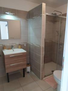 a bathroom with a shower and a sink and a toilet at Chez Christine et Philippe in Fontvieille