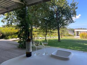 una botella de vino sentada en una mesa con dos copas en Apartamento Con Jardín Rodeado de Viñedos, en Ribadumia