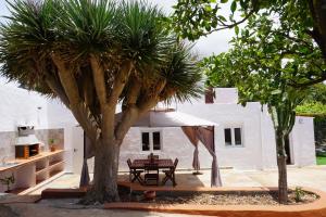 Un patio con una mesa y un árbol frente a una casa. en Villa Almagre, en Gáldar