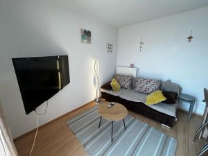 Una sala de estar con un sofá y un televisor de pantalla plana. en Helena House Bibinje, en Bibinje