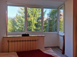a bedroom with three windows and a bed in a room at Cosy 2 rooms apartment with a view near the forest in Predeal