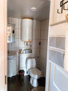 Külaliskorter في Padise: حمام صغير مع مرحاض ومغسلة