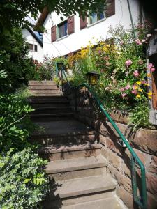 un escalier en face d'un bâtiment fleuri dans l'établissement La casita linda, à Eberbach