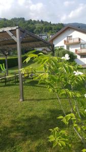 un parque con mesas de picnic y un árbol en Casa Hueller, en Roncegno