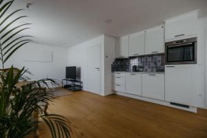 an empty kitchen with white cabinets and a potted plant at Studio 777 Apartments in Illmitz