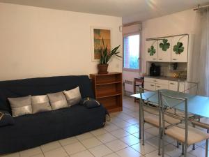 a living room with a couch and a table at Appartement Toulouse Jardin St Martin in Toulouse
