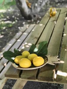 Fotografia z galérie ubytovania Alojamiento rural CASAPIÑA v destinácii Conil de la Frontera