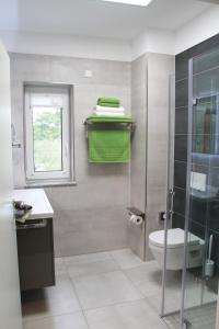 een badkamer met een douche, een toilet en een raam bij Villa Grün, Loft- Wohnung 09 in Tabarz