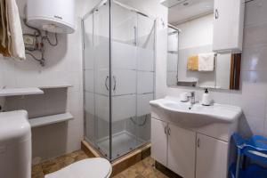 a bathroom with a shower and a sink and a toilet at Guesthouse Istra Premantura in Premantura