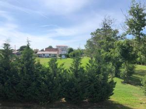 een groep bomen in een veld met een huis op de achtergrond bij Apartments MASIMO in Donji Štoj