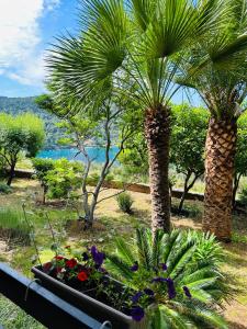 two palm trees and flowers in a garden at Apartment Monte Rosa in Mali Lošinj