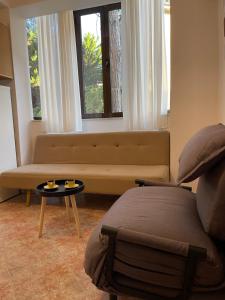 sala de estar con sofá y ventana en Sunny hill Apartment, en Golem