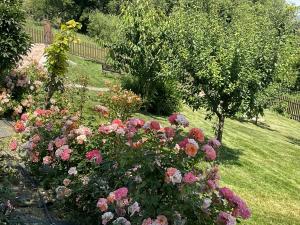 A garden outside Al Teatro di Tavignano