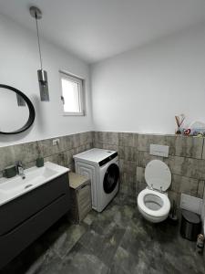 een badkamer met een toilet, een wastafel en een spiegel bij Boutique apartments 1 in Sînpetru