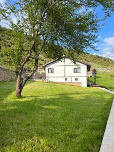 a tree in the grass in front of a house at Вила ИГЛИКА in Yagodina