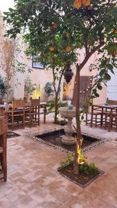 a tree in a courtyard with benches and a fountain at Hostel Laksour in Marrakech