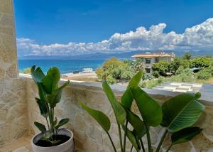 Příroda nedaleko vily