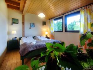 a bedroom with a bed in a room with windows at Kowalowe Skały SPA&MORE in Jelenia Góra
