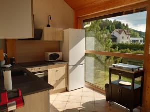 eine Küche mit einem Kühlschrank und einem großen Fenster in der Unterkunft Grand Appartement à Gerardmer in Gérardmer
