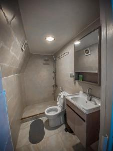een kleine badkamer met een toilet en een wastafel bij Tower Rum Camb in Wadi Rum