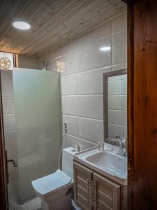 een badkamer met een wastafel en een toilet bij Tower Rum Camb in Wadi Rum