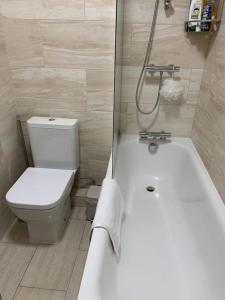 ロンドンにあるStunning London Apartment in Maida Valeのバスルーム(トイレ、バスタブ、シンク付)