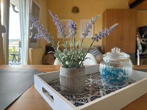 普里茲納的住宿－Prizna Apartments，花瓶,花朵紫色,坐在桌子上