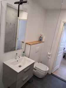 bagno con lavandino, servizi igienici e specchio di Vakantiehuis SARAH- vlakbij meer- van S&G Holiday a Nykroppa
