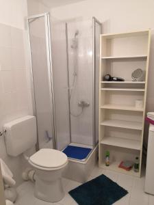 ein weißes Bad mit einer Dusche und einem WC in der Unterkunft Ferienwohnungen Schelhas in Prien am Chiemsee