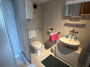 a small bathroom with a toilet and a sink at Prizna Apartments in Prizna +83 photos