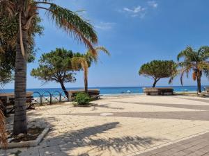 Marina di San Lorenzo的住宿－La Terrazza di Elisa，海滩上种有长椅和棕榈树的公园