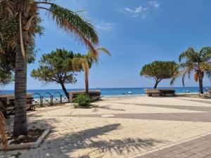 a park with benches and palm trees on the beach at La Terrazza di Elisa in Marina di San Lorenzo