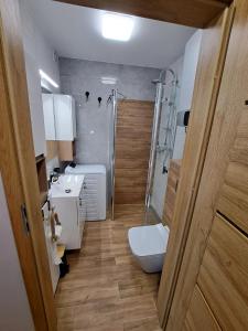uma casa de banho com um chuveiro, um WC e um lavatório. em ARTUS HD em Rowy