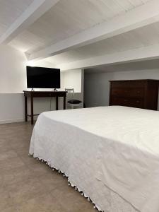 sypialnia z dużym łóżkiem i telewizorem z płaskim ekranem w obiekcie Casa Galliani w mieście Vasto