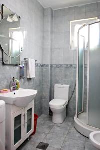 een badkamer met een toilet, een wastafel en een douche bij Petra flat apartment in Bar