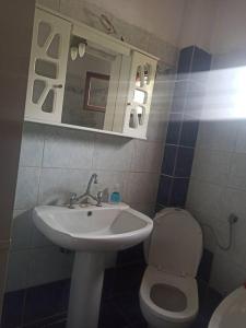 uma casa de banho com um lavatório, um WC e um espelho. em ΓΑΛΗΝΗ 2 em Skála Stólou