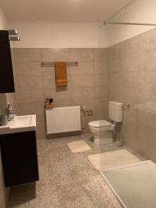 a bathroom with a toilet and a sink and a shower at Ferienwohnung Parkblick - Balkon 77m2 in Bad Rothenfelde