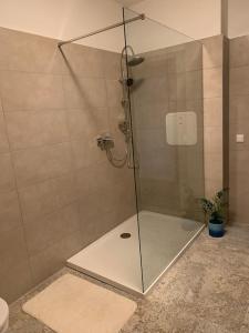 a shower with a glass door in a bathroom at Ferienwohnung Parkblick - Balkon 77m2 in Bad Rothenfelde