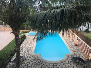 a blue swimming pool with a palm tree at Bel appartement avec piscine dans résidence privée in Cap Malheureux