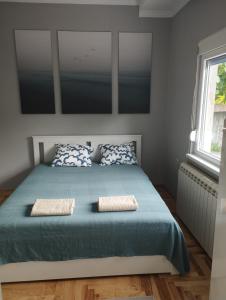 ein Schlafzimmer mit einem blauen Bett mit zwei Kissen in der Unterkunft Apartman Aleksandra in Smederevo