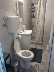 La salle de bains est pourvue de toilettes blanches et d'un lavabo. dans l'établissement Apartman Aleksandra, à Smederevo