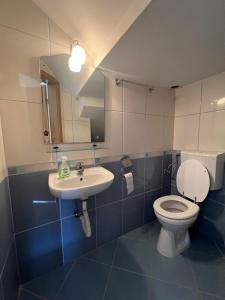 bagno con servizi igienici e lavandino di CASA LV a Şura Mică