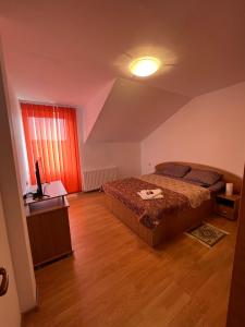 una camera con letto e scrivania con TV di CASA LV a Şura Mică