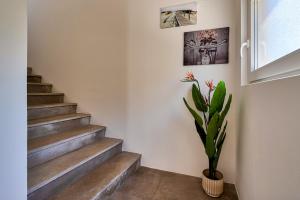 Fotografia z galérie ubytovania VILLA Matija v destinácii Ližnjan