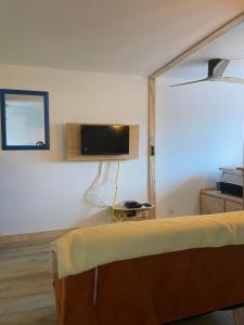 a room with a bed and a tv on the wall at Agréable Loft proche océan classé 1 étoile Refait à neuf in Biscarrosse-Plage